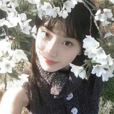 哈里如何变成一棵树